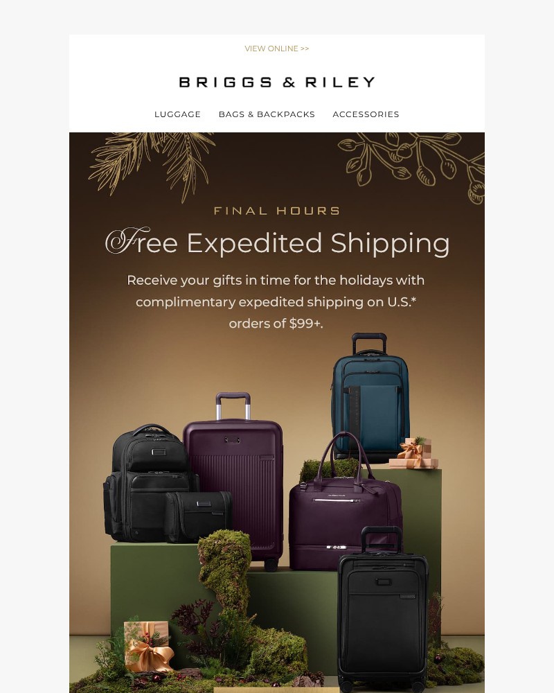 Screenshot of email sent to a Briggs & Riley Newsletter subscriber