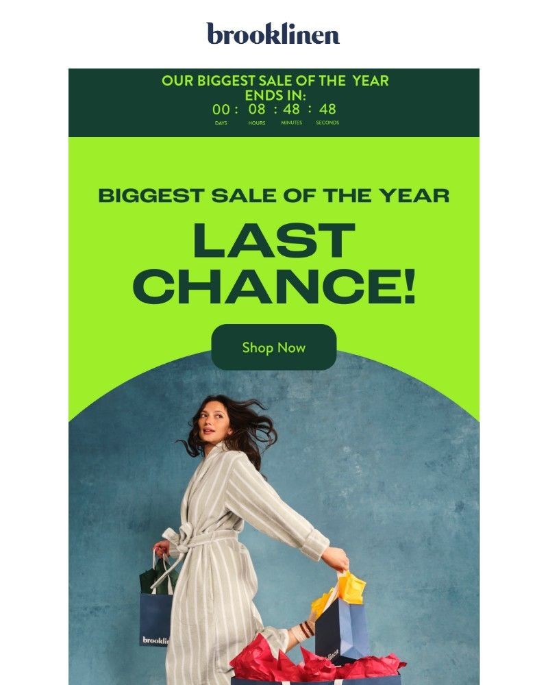 Screenshot of email with subject /media/emails/final-hours-our-biggest-sale-of-the-year-ends-tonight-3e0d96-cropped-5a391a91.jpg