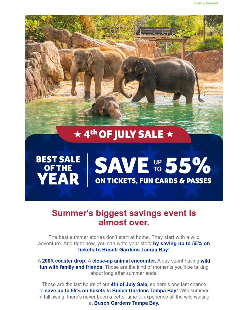 Screenshot of email sent to a Busch Gardens Newsletter subscriber