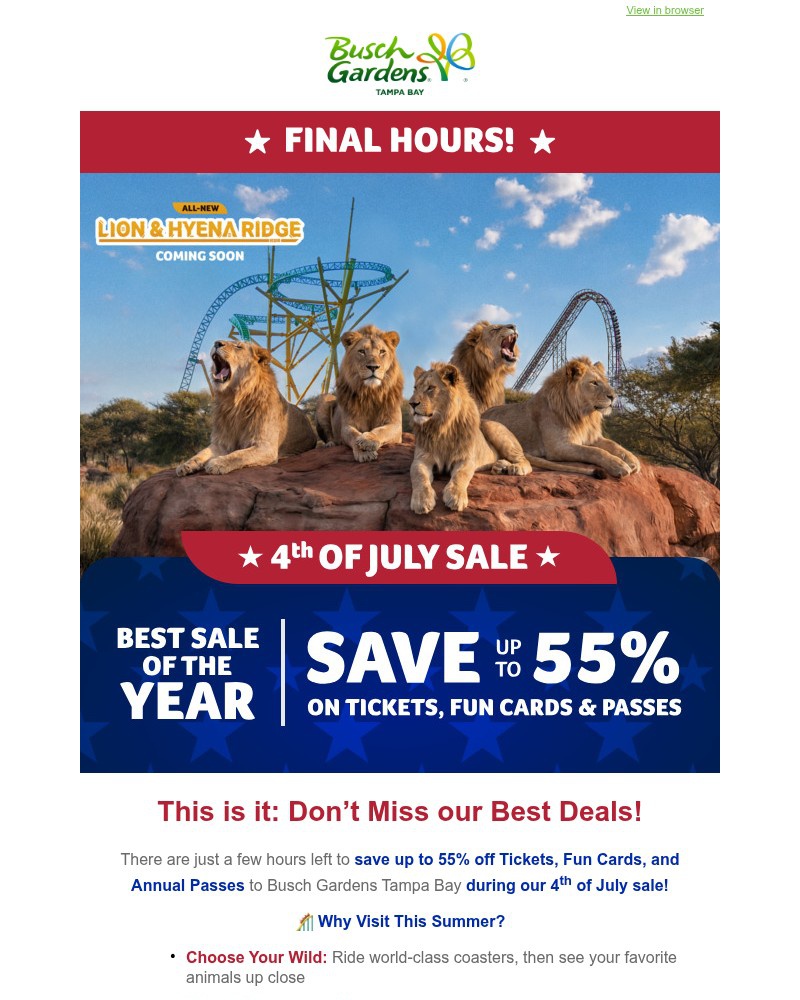Screenshot of email sent to a Busch Gardens Newsletter subscriber
