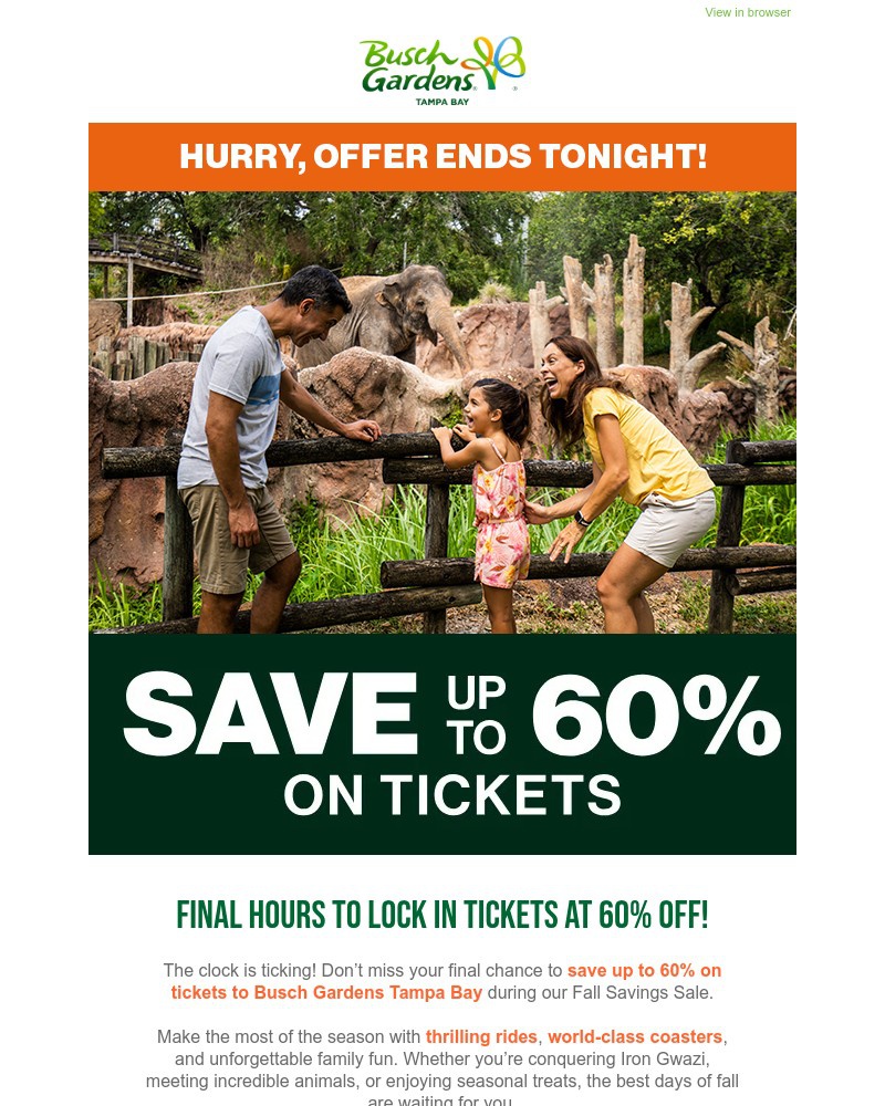 Screenshot of email with subject /media/emails/final-hours-save-up-to-60-off-end-of-year-funbuy-tickets-now-842f74-cropped-ba73bf00.jpg