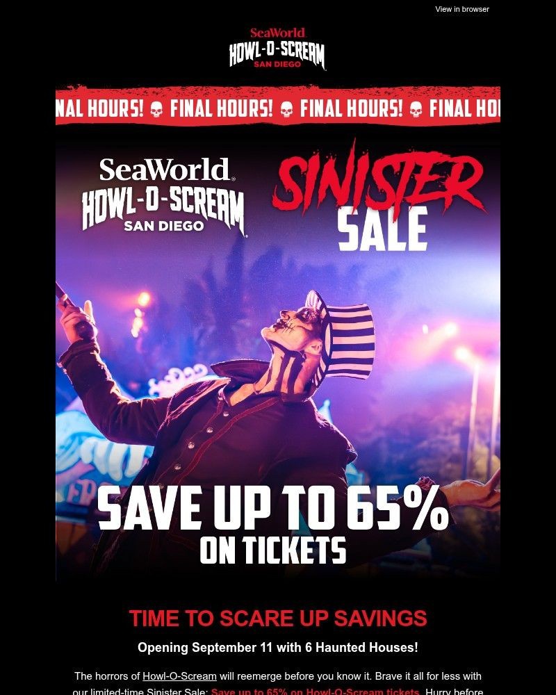 Screenshot of email sent to a Sea World Newsletter subscriber