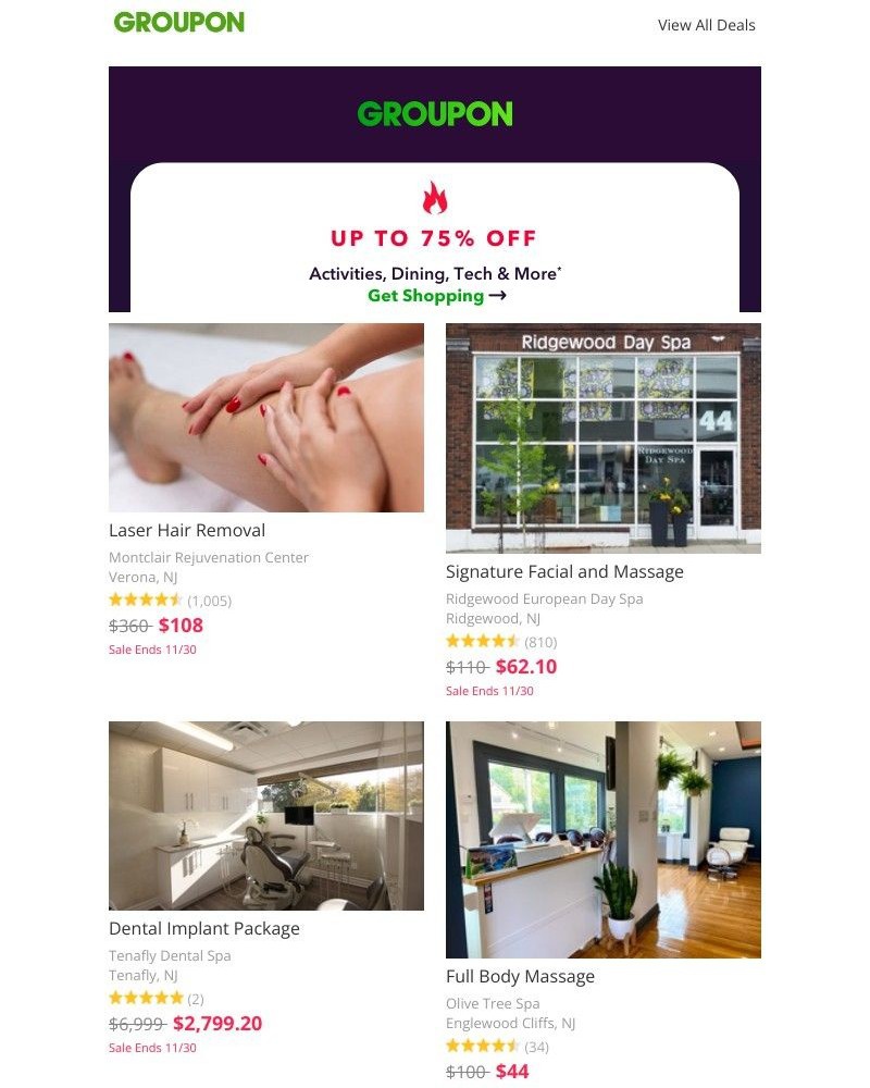 Screenshot of email with subject /media/emails/final-hours-special-savings-inside-37a4f3-cropped-96c57ab7.jpg