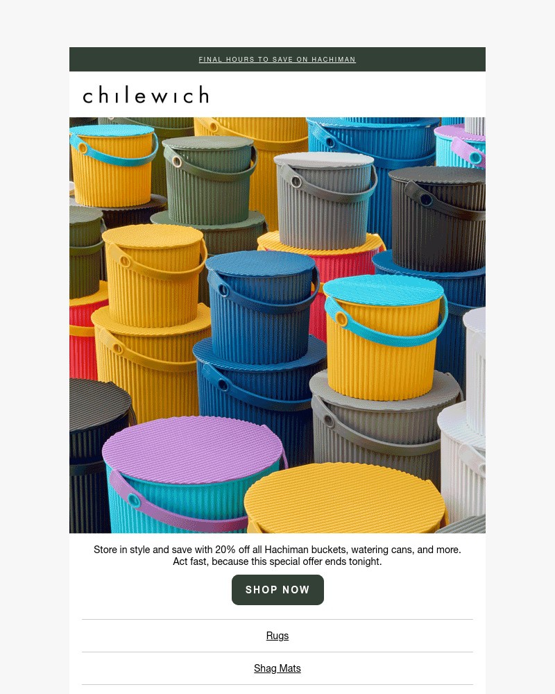 Screenshot of email with subject /media/emails/final-hours-special-savings-on-hachiman-89a5a9-cropped-ee6e958d.jpg