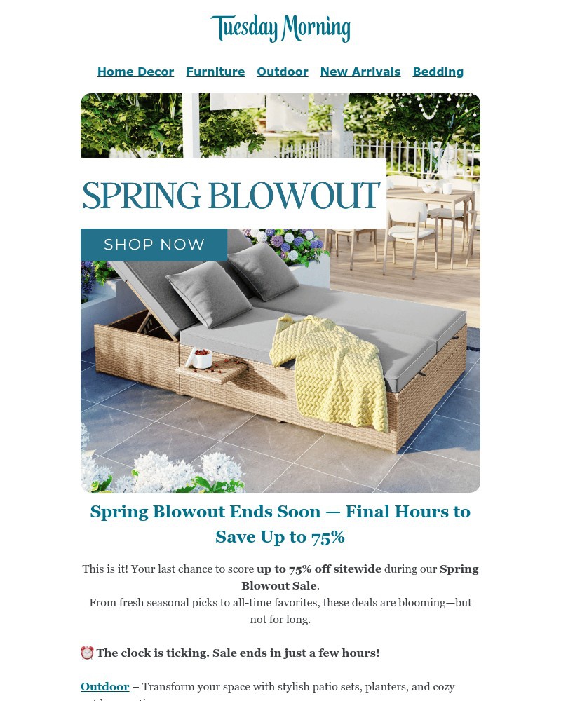 Screenshot of email with subject /media/emails/final-hours-spring-blowout-up-to-75-off-d8ff65-cropped-1d8b869b.jpg