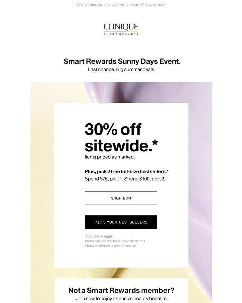 Screenshot of email with subject /media/emails/final-hours-sunny-must-haves-30-off-86a41a-cropped-9e46ee56.jpg