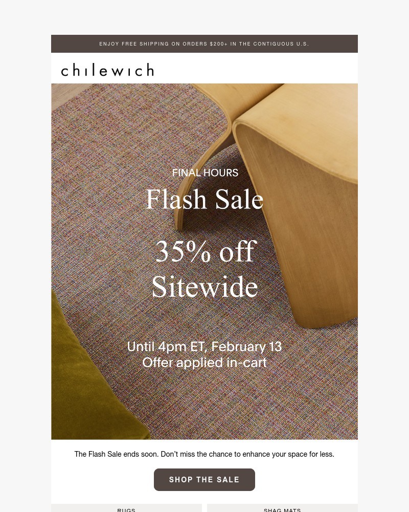 Screenshot of email with subject /media/emails/final-hours-the-flash-sale-b290cc-cropped-0c70e937.jpg