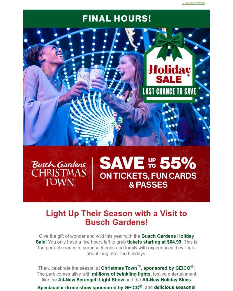 Screenshot of email with subject /media/emails/final-hours-tickets-as-low-as-6499-during-our-holiday-sale-e77b0d-cropped-aa2eb8e1.jpg