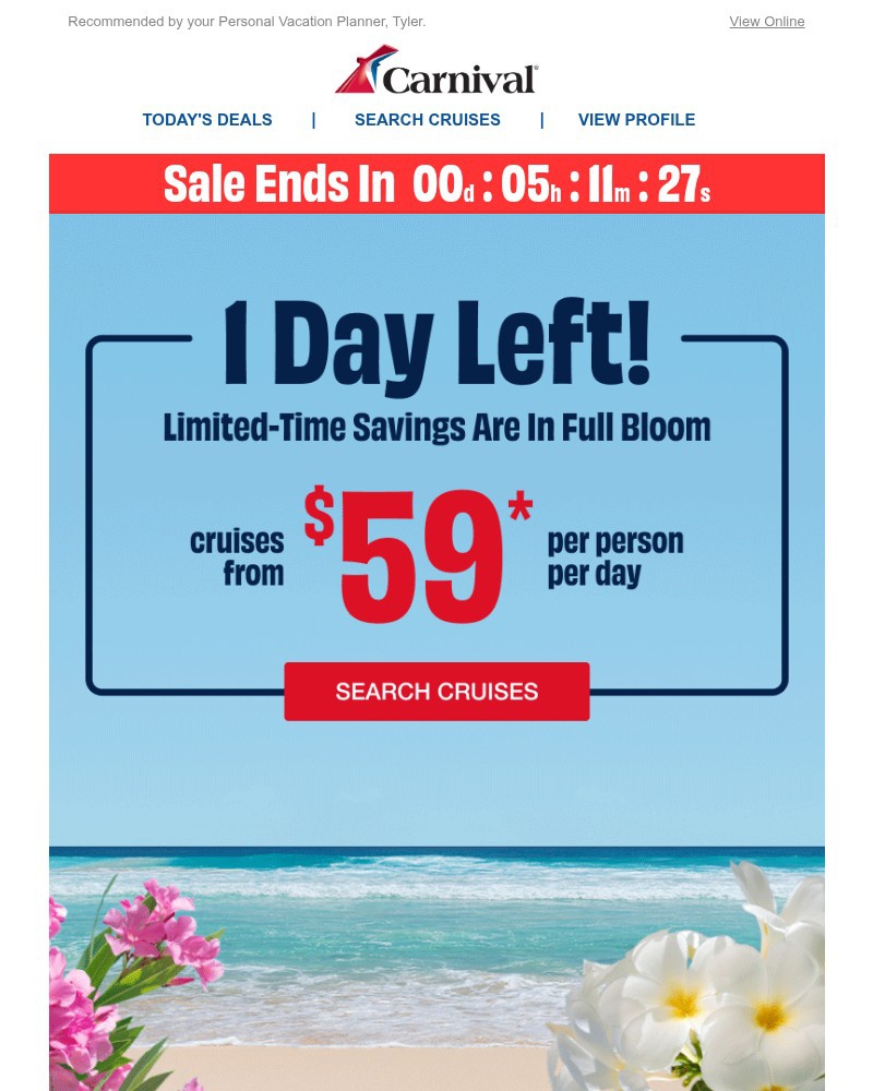 Screenshot of email with subject /media/emails/final-hours-to-cruise-from-59-per-person-per-day-c14735-cropped-cbb49e4b.jpg