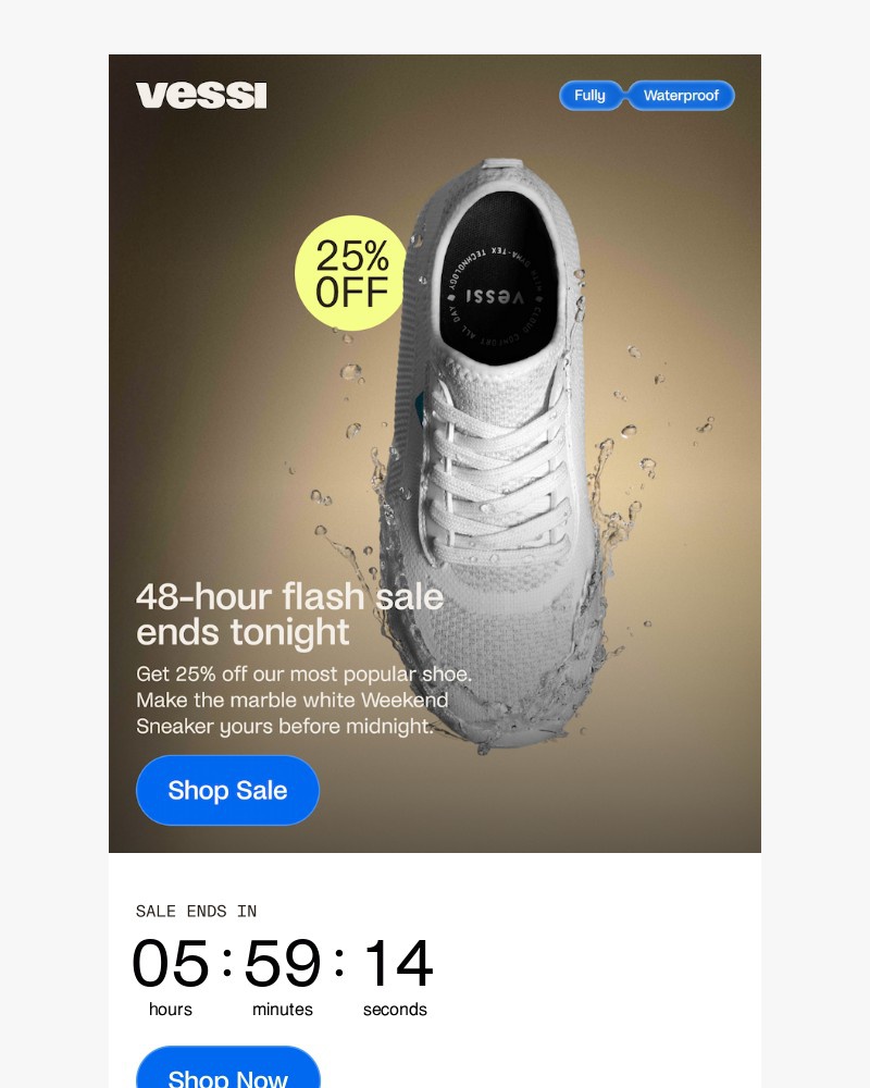 Screenshot of email sent to a Vessi Seller