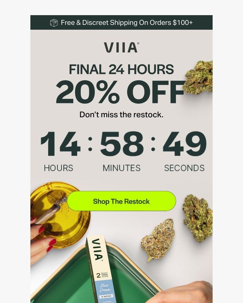 Screenshot of email with subject /media/emails/final-hours-to-save-20-f22e8b-cropped-70e5b6bd.jpg