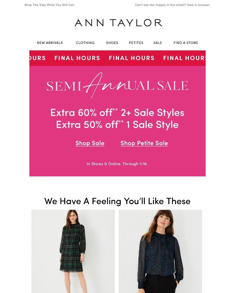 Screenshot of email with subject /media/emails/final-hours-to-save-5fdf76-cropped-6cb3aa39.jpg