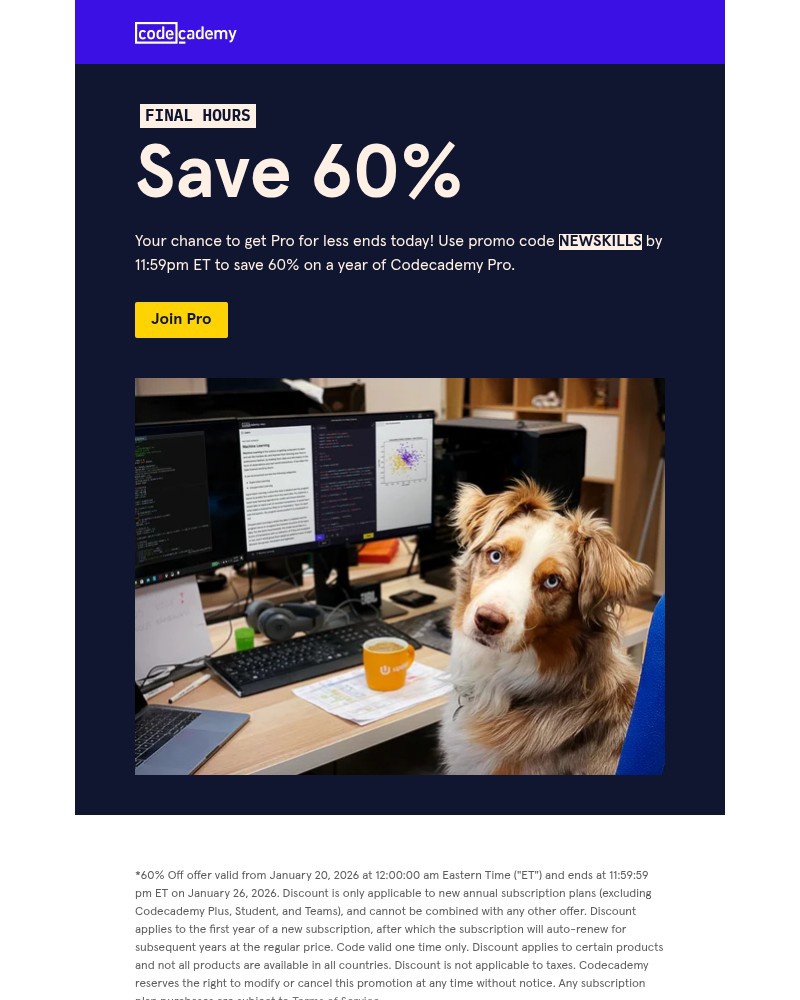 Screenshot of email with subject /media/emails/final-hours-to-save-60-c35e4e-cropped-190e5456.jpg