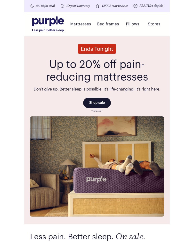 Screenshot of email sent to a Purple Cart abandoner