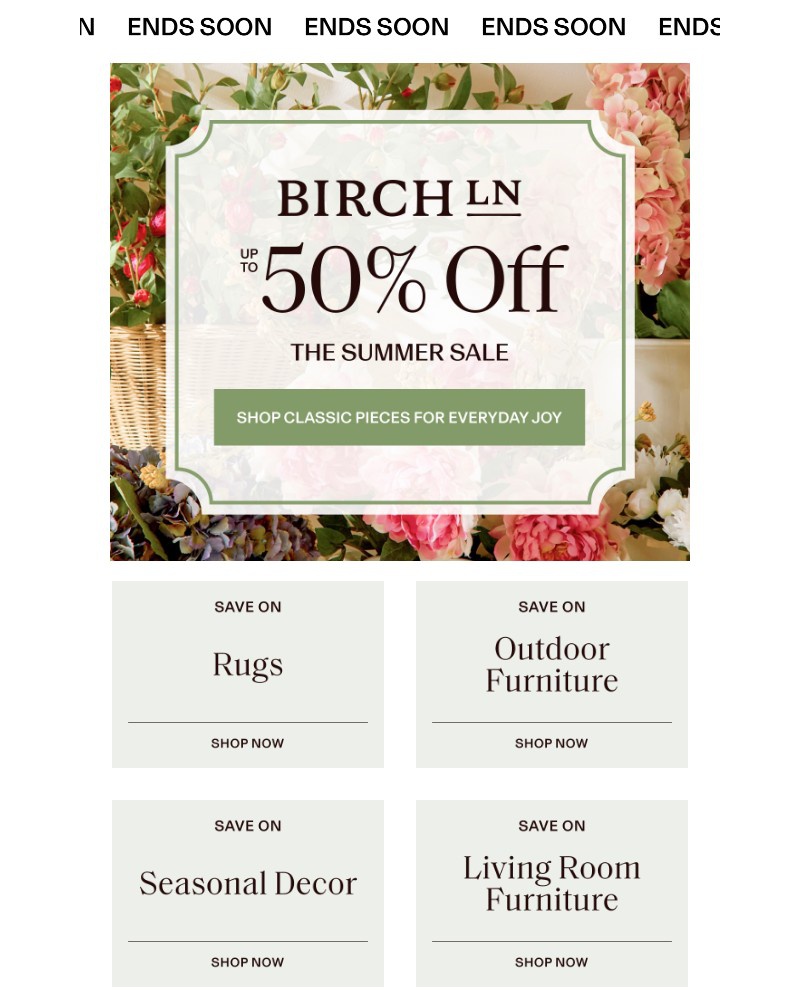 Screenshot of email sent to a Birch Lane Newsletter subscriber