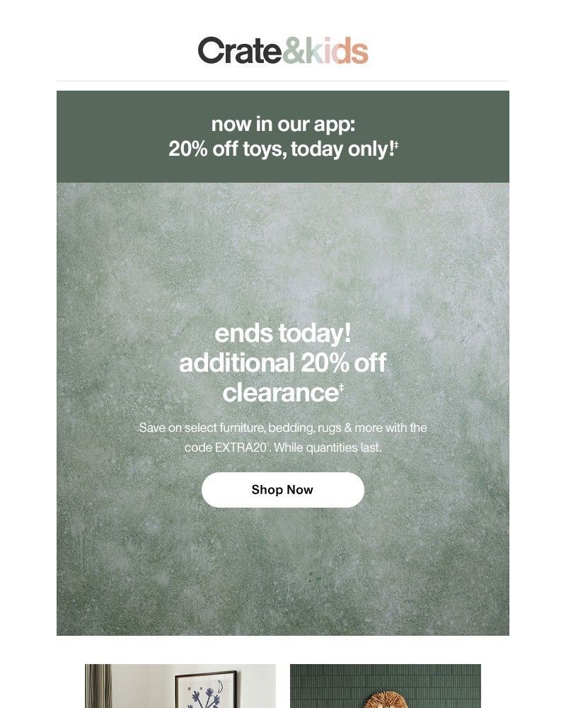 Screenshot of email sent to a Crate & Barrel Newsletter subscriber