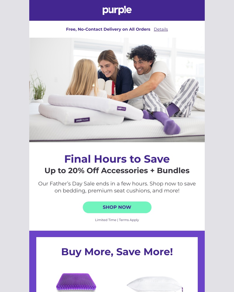 Screenshot of email with subject /media/emails/final-hours-up-to-20-off-select-accessories-1-cropped-4f6a79db.jpg