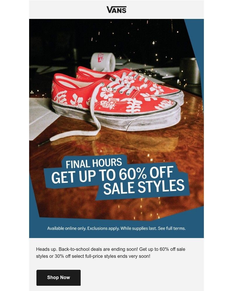 Screenshot of email sent to a Vans Registered user