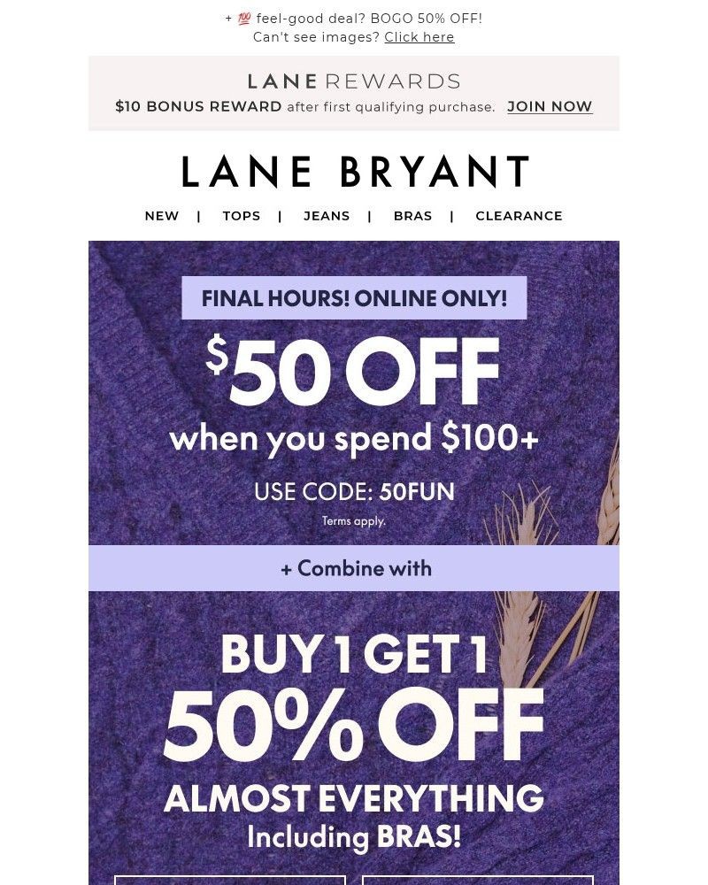 Screenshot of email with subject /media/emails/final-hrs-50-off-100-add-to-now-399b1d-cropped-78383cbe.jpg