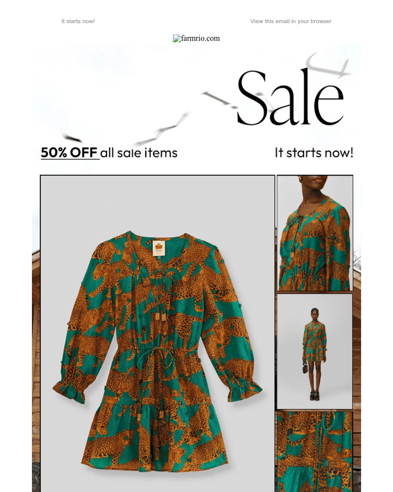Screenshot of email with subject /media/emails/final-sale-50-off-f1d2a6-cropped-df6ced33.jpg
