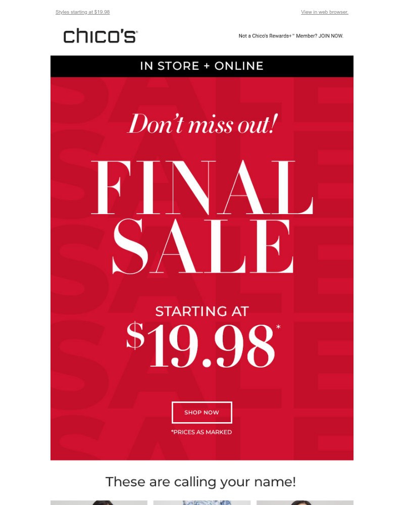 Screenshot of email with subject /media/emails/final-sale-alert-651dde-cropped-ea4d38e9.jpg