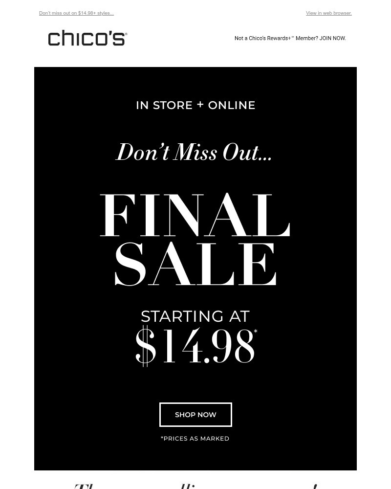 Screenshot of email with subject /media/emails/final-sale-alert-c1724c-cropped-57f0dfea.jpg