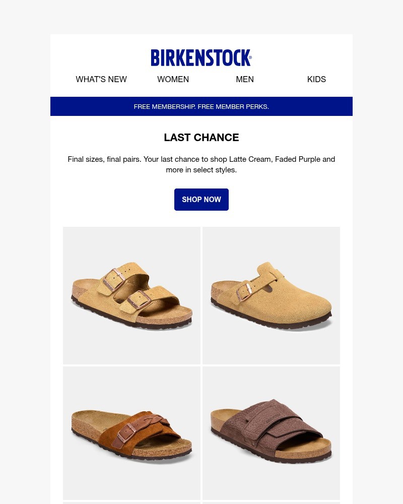 Screenshot of email with subject /media/emails/final-sizes-left-in-latte-cream-faded-purple-dc89d3-cropped-e8c4d765.jpg