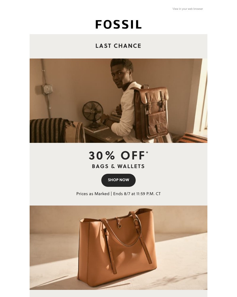 Screenshot of email with subject /media/emails/final-warning-30-off-bags-wallets-almost-gone-5fb32e-cropped-84a8b450.jpg