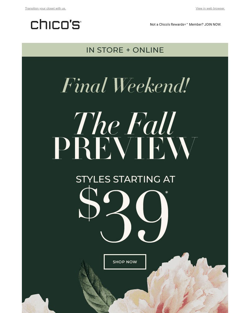 Screenshot of email with subject /media/emails/final-weekend-39-fall-favorites-0ca774-cropped-9a963f9b.jpg