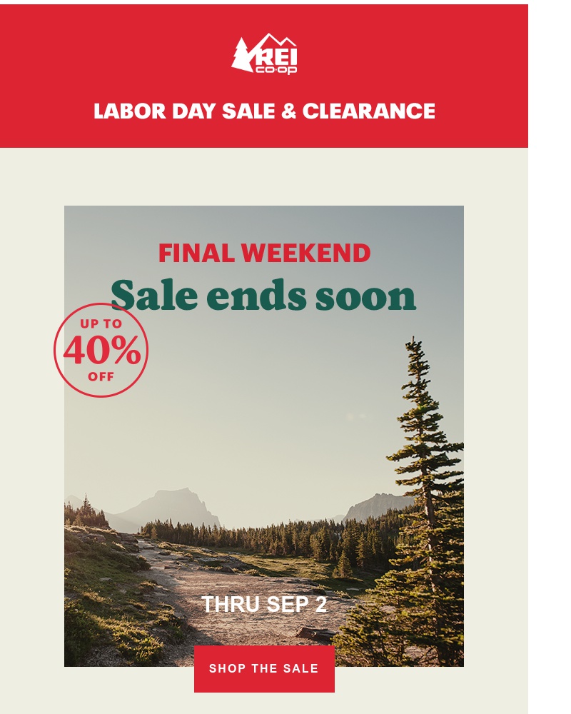 Screenshot of email with subject /media/emails/final-weekend-labor-day-sale-ends-soon-cropped-960b0c2f.jpg