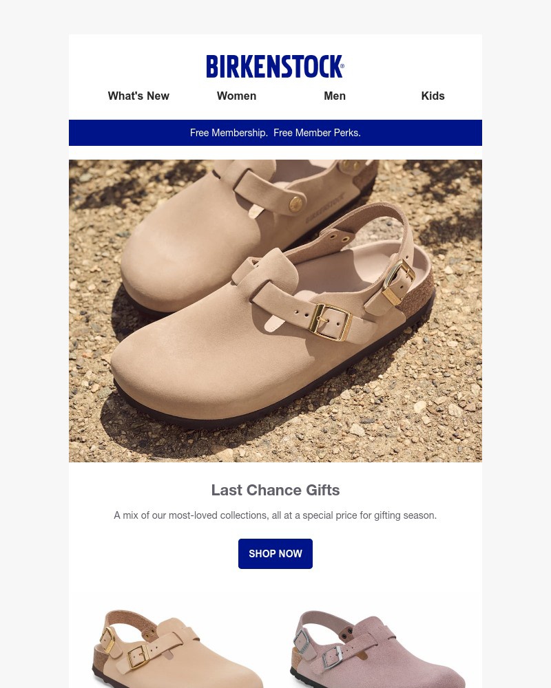 Screenshot of email with subject /media/emails/find-a-gift-in-the-last-chance-shop-4915b6-cropped-225485e0.jpg