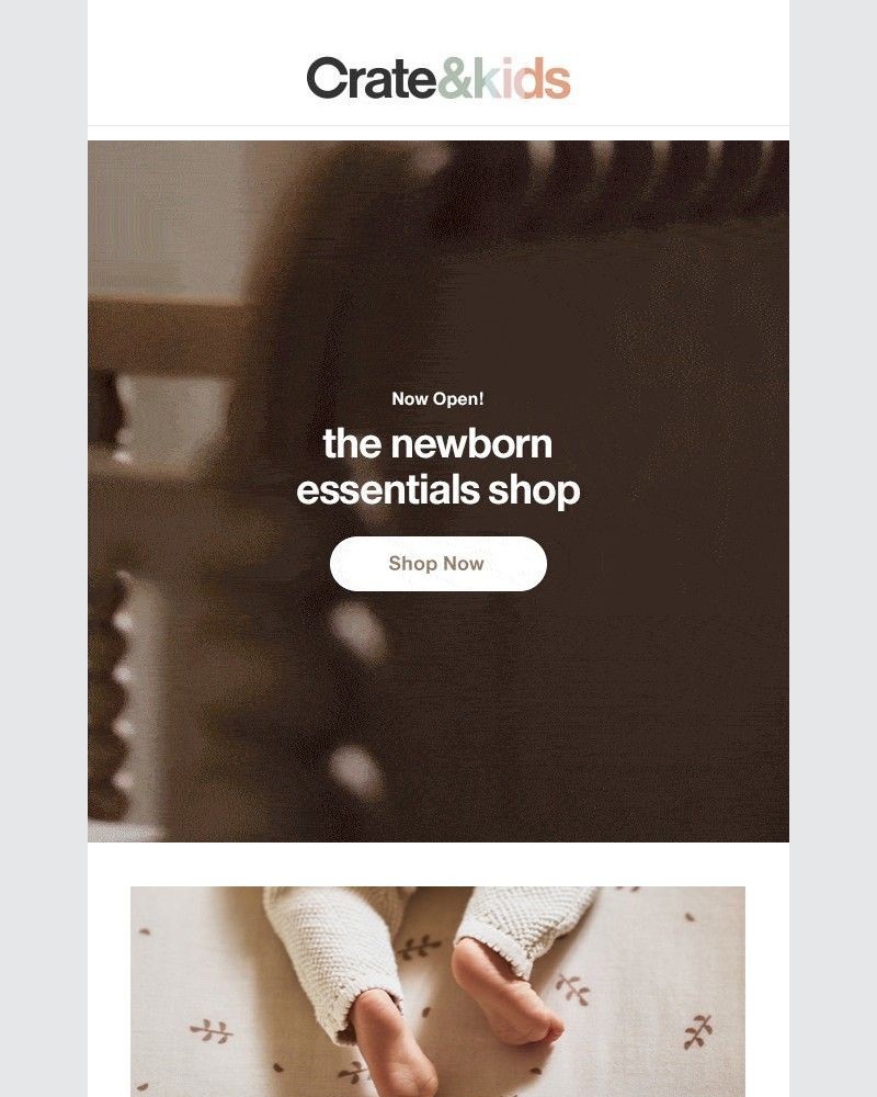 Screenshot of email with subject /media/emails/find-everything-youll-need-on-day-one-at-the-newborn-shop-434d4a-cropped-2f03acb2.jpg