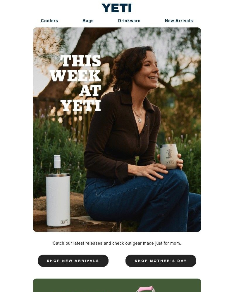 Screenshot of email sent to a Yeti Newsletter subscriber