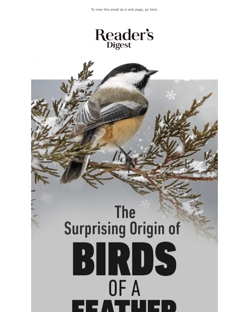 Screenshot of email with subject /media/emails/find-out-the-meaning-behind-this-classic-bird-inspired-idiom-4c9f30-cropped-61dba773.jpg