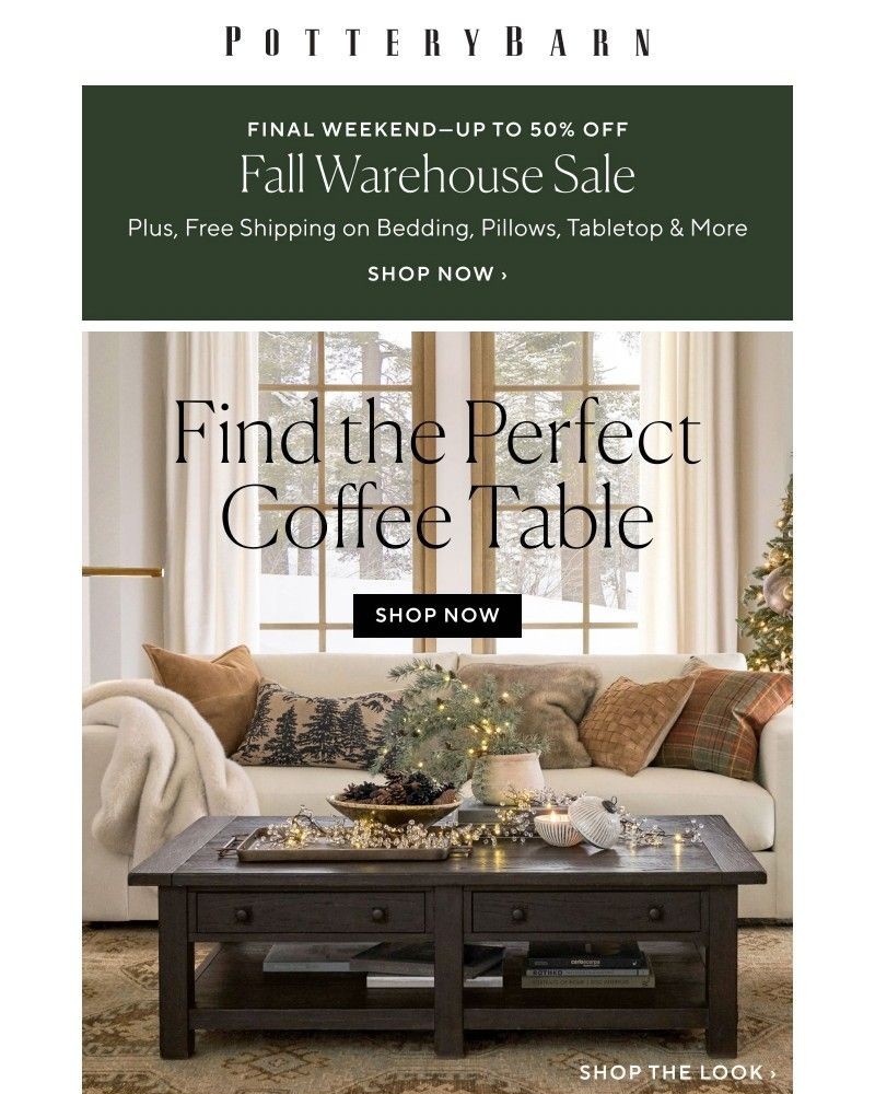 Screenshot of email with subject /media/emails/find-the-perfect-coffee-table-f0934c-cropped-2bbdf370.jpg