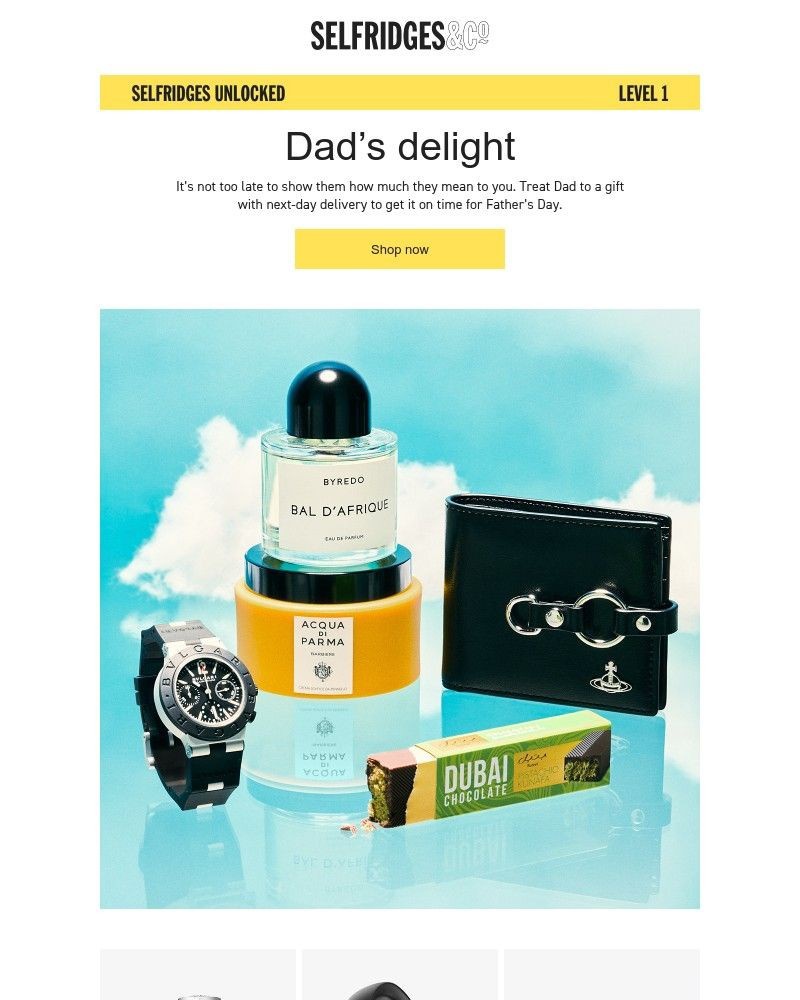 Screenshot of email with subject /media/emails/find-the-perfect-fathers-day-gift-a7712b-cropped-07a5d921.jpg