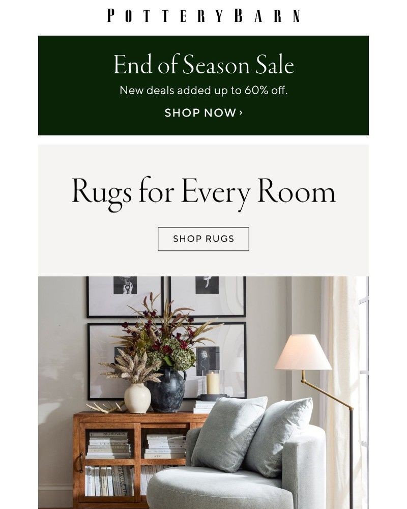 Screenshot of email with subject /media/emails/find-the-perfect-rug-for-every-space-a4cd3a-cropped-5fa6fc05.jpg