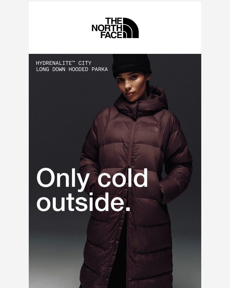 Screenshot of email sent to a The North Face Newsletter subscriber