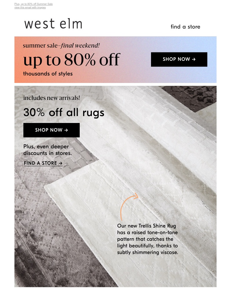 Screenshot of email with subject /media/emails/find-your-favorite-rug-and-take-30-off-a67e95-cropped-cc46709b.jpg