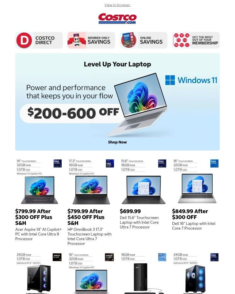 Screenshot of email sent to a Costco Newsletter subscriber