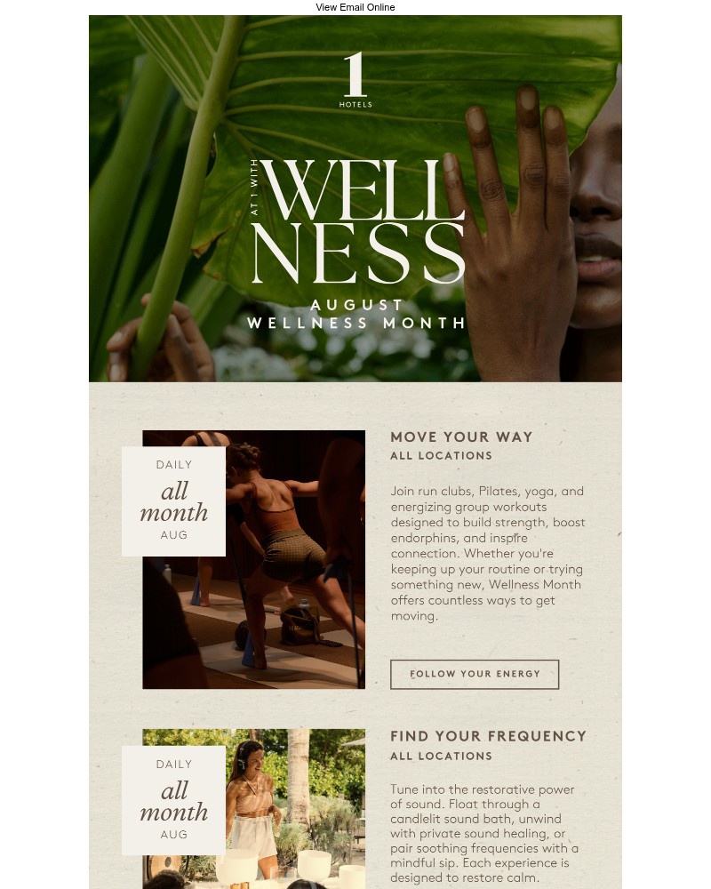 Screenshot of email with subject /media/emails/find-yourself-at-1-with-wellness-dff1ca-cropped-4aa9d64b.jpg
