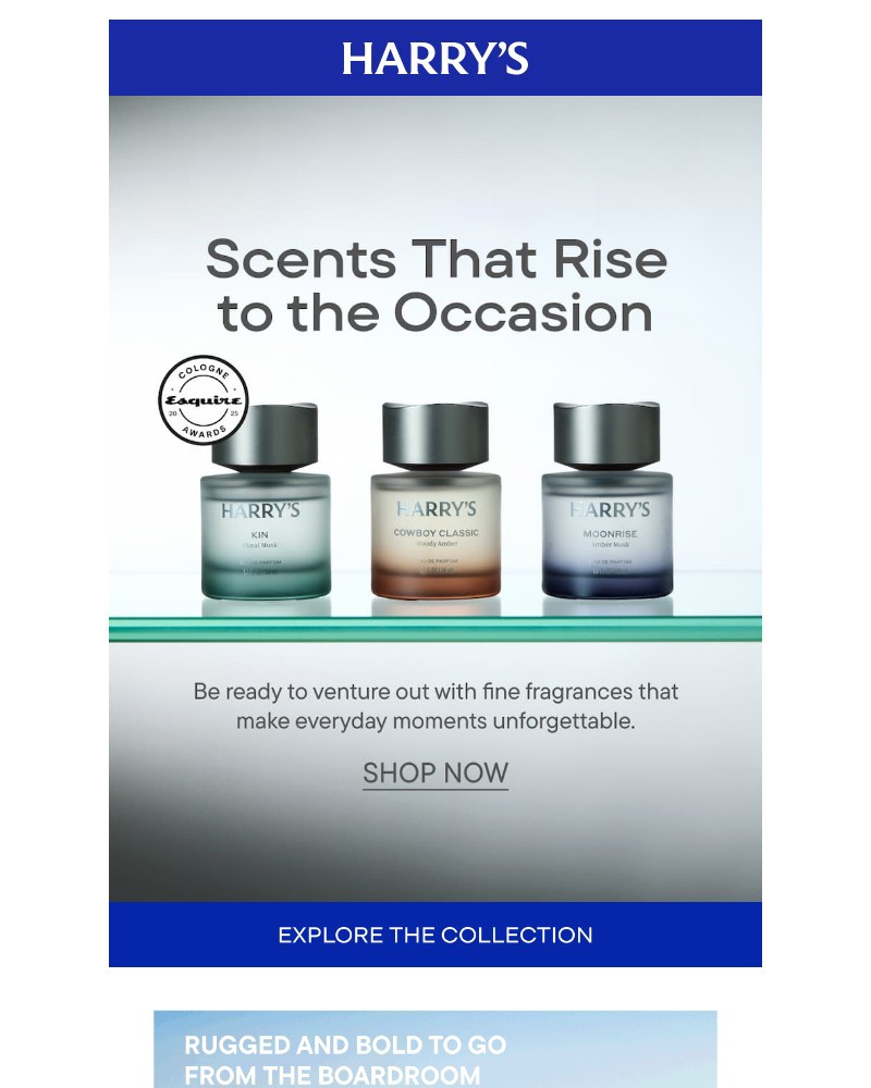 Screenshot of email sent to a Harry's Cart abandoner