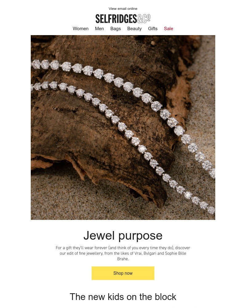 Screenshot of email with subject /media/emails/fine-jewellery-favourites-39c6cb-cropped-c925be07.jpg