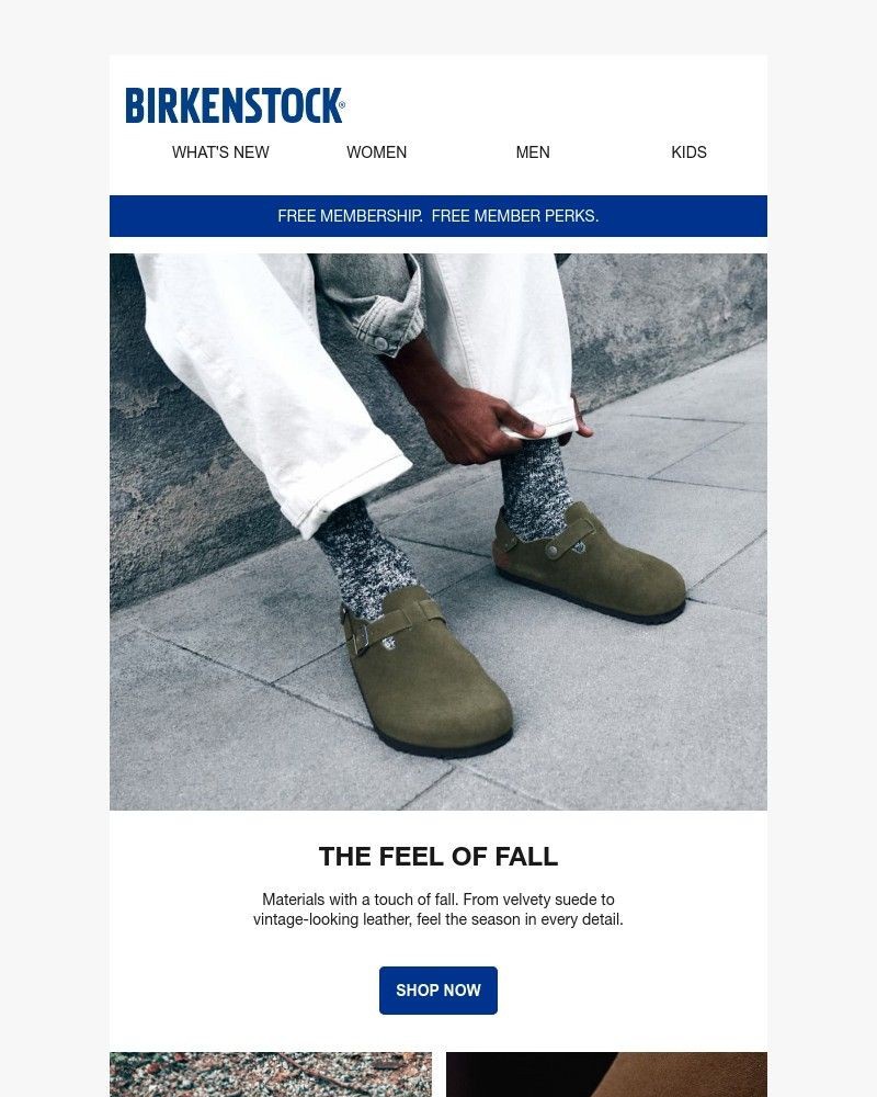 Screenshot of email with subject /media/emails/finishing-touch-materials-that-feel-like-fall-06c090-cropped-c866a302.jpg