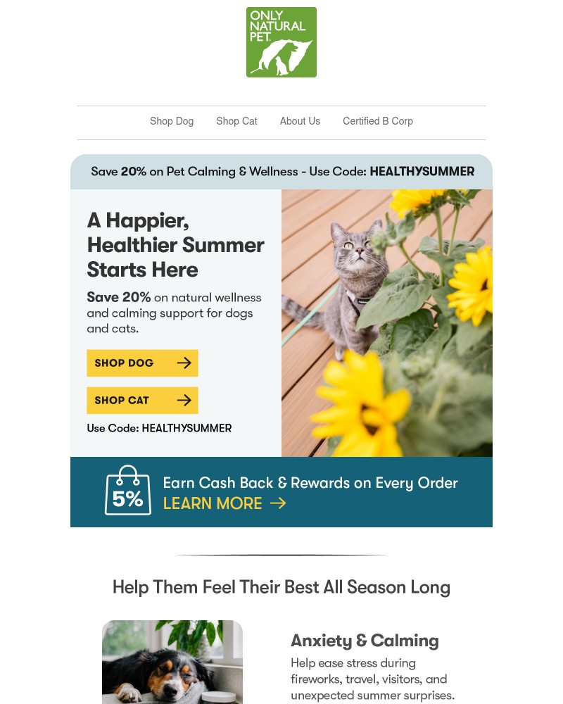 Screenshot of email with subject /media/emails/fireworks-outside-calm-vibes-inside-5701f7-cropped-1410a8ef.jpg