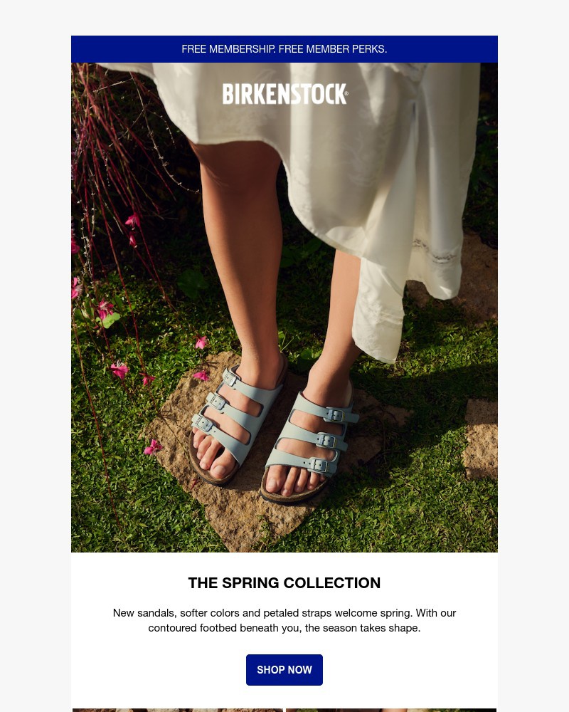 Screenshot of email with subject /media/emails/first-day-of-spring-arrivals-75d716-cropped-7ba2eef5.jpg