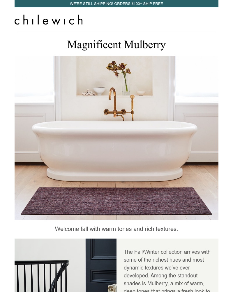 Screenshot of email with subject /media/emails/first-look-at-fall-magnificent-mulberry-2b6b03-cropped-4caa96da.jpg