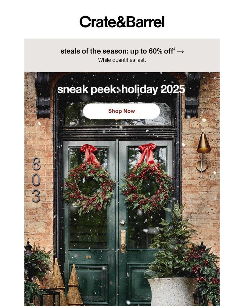 Screenshot of email with subject /media/emails/first-look-our-holiday-collection-is-live-cdc2ed-cropped-7ee31988.jpg