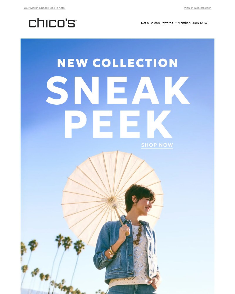 Screenshot of email sent to a Chico’s Newsletter subscriber