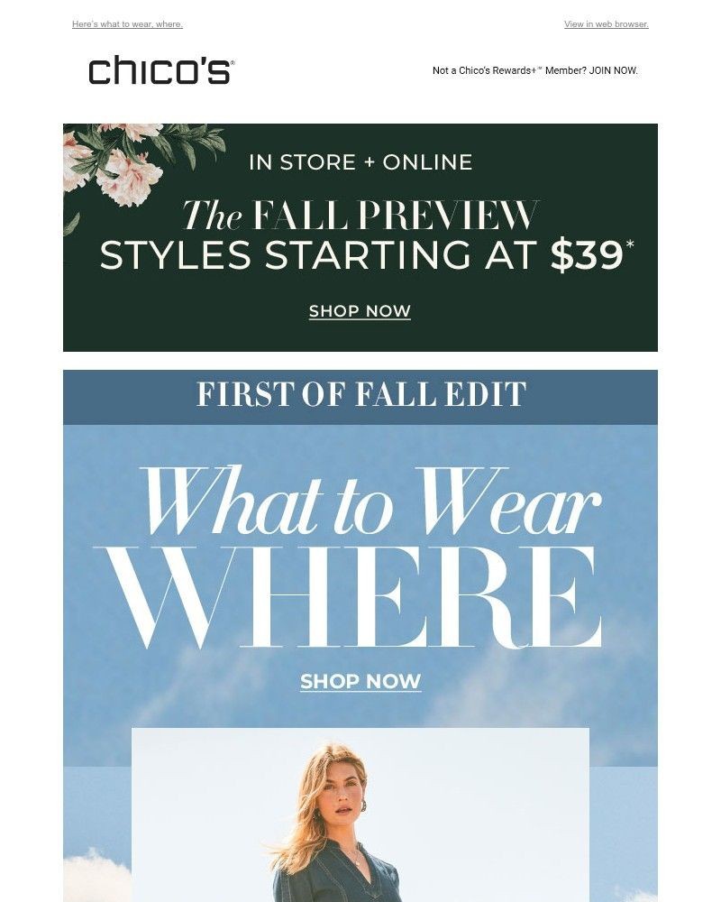 Screenshot of email with subject /media/emails/first-of-fall-styled-774249-cropped-e7656b84.jpg